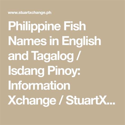 fish net tagalog|Fish of the Philippines: Learn How To Say in Tagalog!.